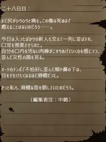 賢者ラヴィニアの手記～旧オーク砦にて発掘された遺稿～, 日本語