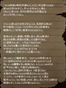 賢者ラヴィニアの手記～旧オーク砦にて発掘された遺稿～, 日本語