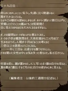 賢者ラヴィニアの手記～旧オーク砦にて発掘された遺稿～, 日本語