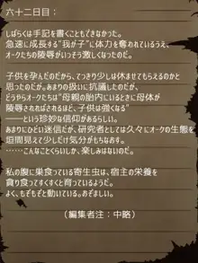 賢者ラヴィニアの手記～旧オーク砦にて発掘された遺稿～, 日本語