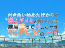 ツンデレJKの一日, 日本語