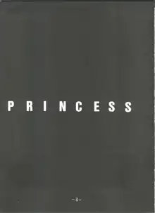 princess, 日本語