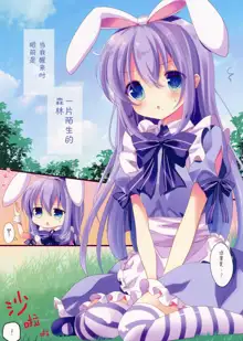 Fushigi no Kuni no Chino-chan, 中文