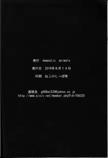 プレグナントビッチーズ, 日本語