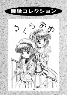 桜飴 CROQUIS, 日本語