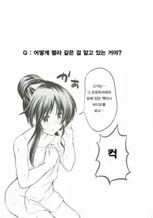 Watashi no Ookami-san 2, 한국어