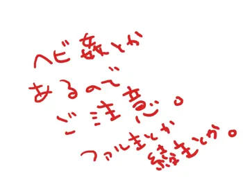 霜月戒斗  —  【腐向け】蛇とかファル主とか綾主とか【R-18】, 日本語