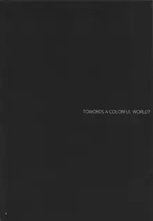 TOWARDS A COLORFUL WORLD?, 中文