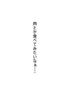 だいだい本, 日本語