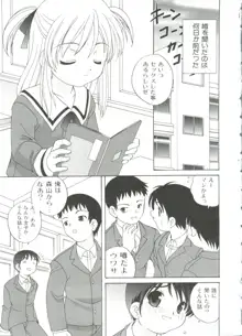 えっちなウワサ, 日本語