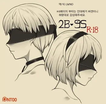 2B 9S, 한국어