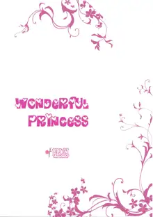 Wonderful Princess, English