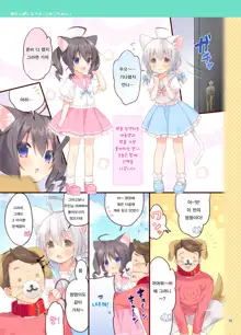 Koneko-chan Deluxe!, 한국어