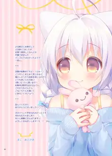 Koneko-chan Deluxe!, 한국어