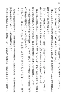 幼なじみの双子転校生と双子義妹が戦争を始めるようです ~ついつい！~, 日本語