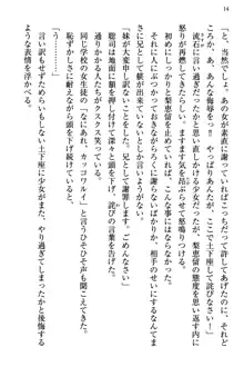 幼なじみの双子転校生と双子義妹が戦争を始めるようです ~ついつい！~, 日本語