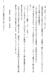 幼なじみの双子転校生と双子義妹が戦争を始めるようです ~ついつい！~, 日本語