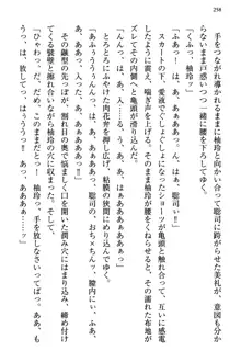 幼なじみの双子転校生と双子義妹が戦争を始めるようです ~ついつい！~, 日本語