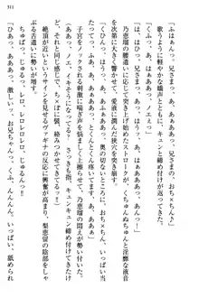 幼なじみの双子転校生と双子義妹が戦争を始めるようです ~ついつい！~, 日本語