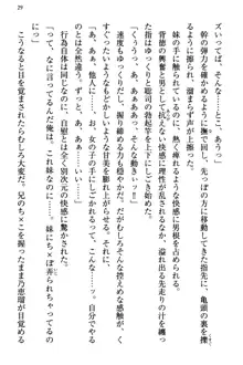 幼なじみの双子転校生と双子義妹が戦争を始めるようです ~ついつい！~, 日本語