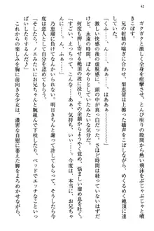 幼なじみの双子転校生と双子義妹が戦争を始めるようです ~ついつい！~, 日本語