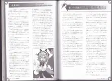 魔物娘図鑑ワールドガイド外伝Ⅰ ～ドラゴニア～, 日本語