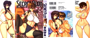 Secret Plot, English