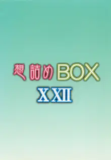 想詰めBOX XXII, 日本語