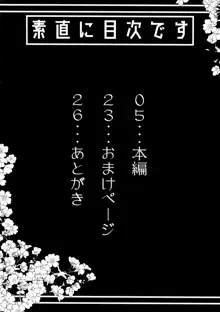 沖田さんで素直に射精する本, 日本語