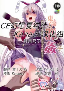 Touhou Lynch 1 Choushi ni Norisugita Udonge-chan, 中文