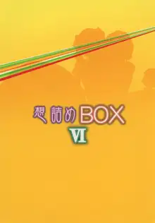 想詰めBOX VI, 日本語