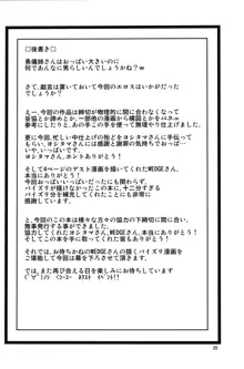 妖怪バスター早苗 ～対 勇儀編～, 日本語