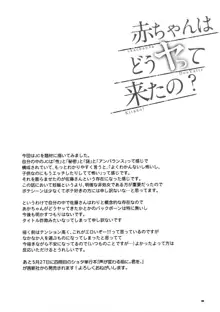 赤ちゃんはどうヤッて来たの?, 日本語