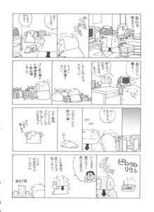 裸の人形, 日本語