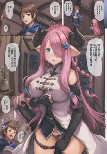 Narmaya to Issho ni Yoru no Tanren, 中文