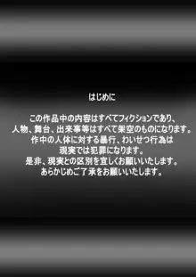 『不思議世界-Mystery World-ののな28』～続魔国王の宴獄、滝泉の淫魔蟲の麻痺毒～, 日本語