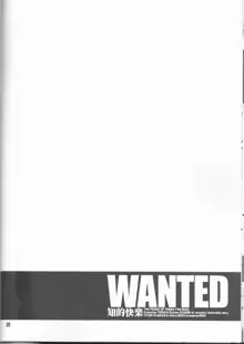 WANTED, 日本語