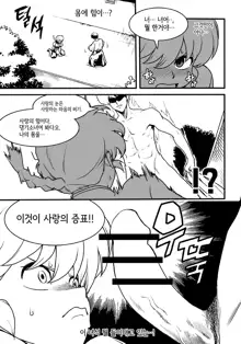 女らんま 小冊子, 한국어