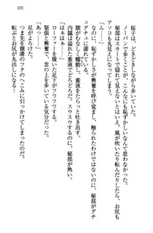 桜の咲く頃、僕は妹と再会する。, 日本語