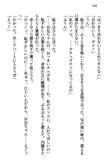 桜の咲く頃、僕は妹と再会する。, 日本語