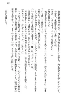 桜の咲く頃、僕は妹と再会する。, 日本語