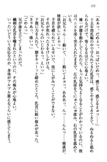 桜の咲く頃、僕は妹と再会する。, 日本語