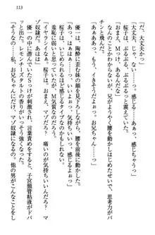 桜の咲く頃、僕は妹と再会する。, 日本語