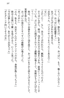 桜の咲く頃、僕は妹と再会する。, 日本語