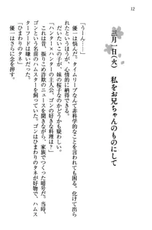 桜の咲く頃、僕は妹と再会する。, 日本語