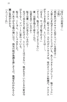 桜の咲く頃、僕は妹と再会する。, 日本語