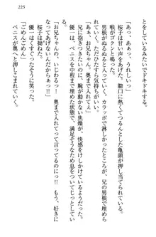 桜の咲く頃、僕は妹と再会する。, 日本語