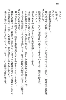 桜の咲く頃、僕は妹と再会する。, 日本語