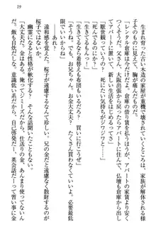 桜の咲く頃、僕は妹と再会する。, 日本語