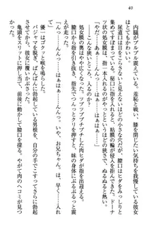 桜の咲く頃、僕は妹と再会する。, 日本語